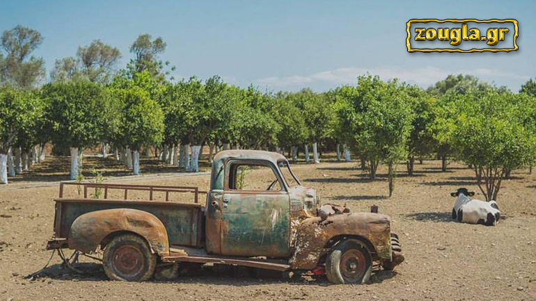 Μία εικόνα – Χίλιες λέξεις…